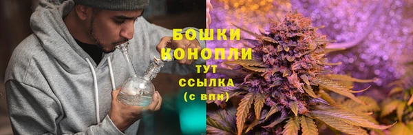 шишки Бугульма